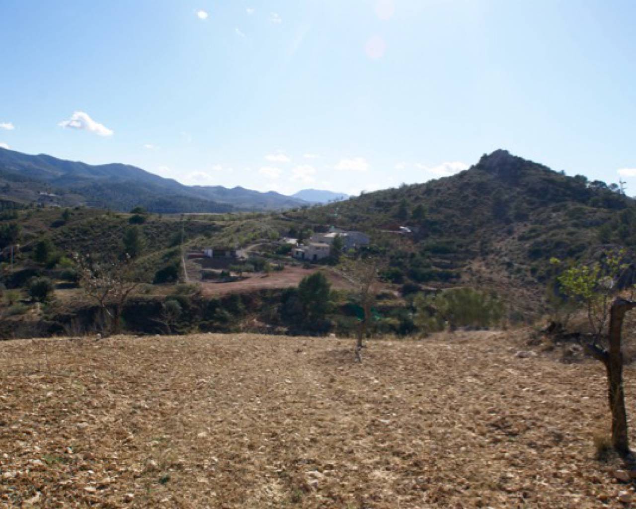 Plot for sale in Lorca 13