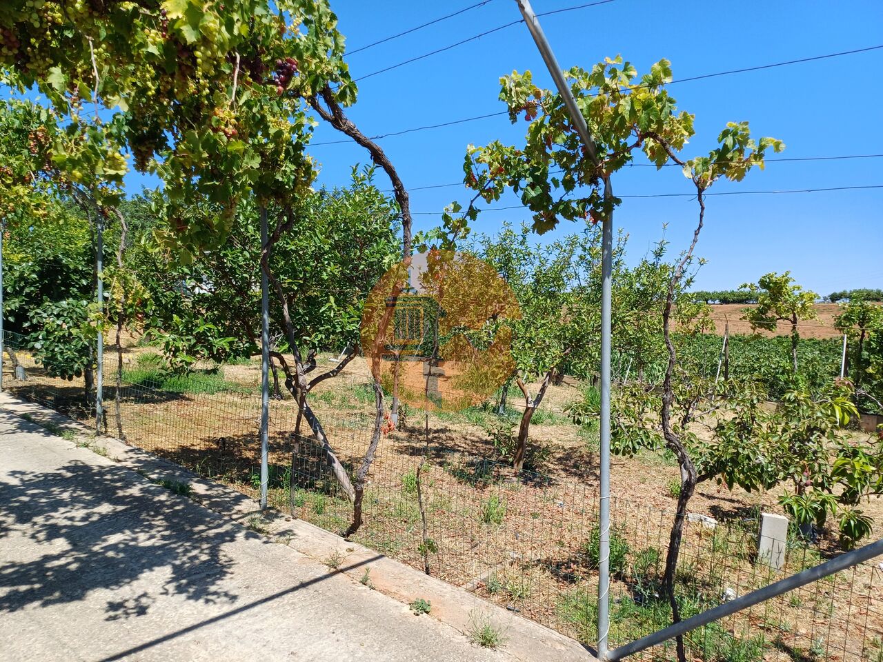 Villa à vendre à Faro 4