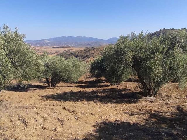 Chalé en venta en Málaga 37