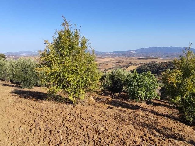 Chalé en venta en Málaga 38