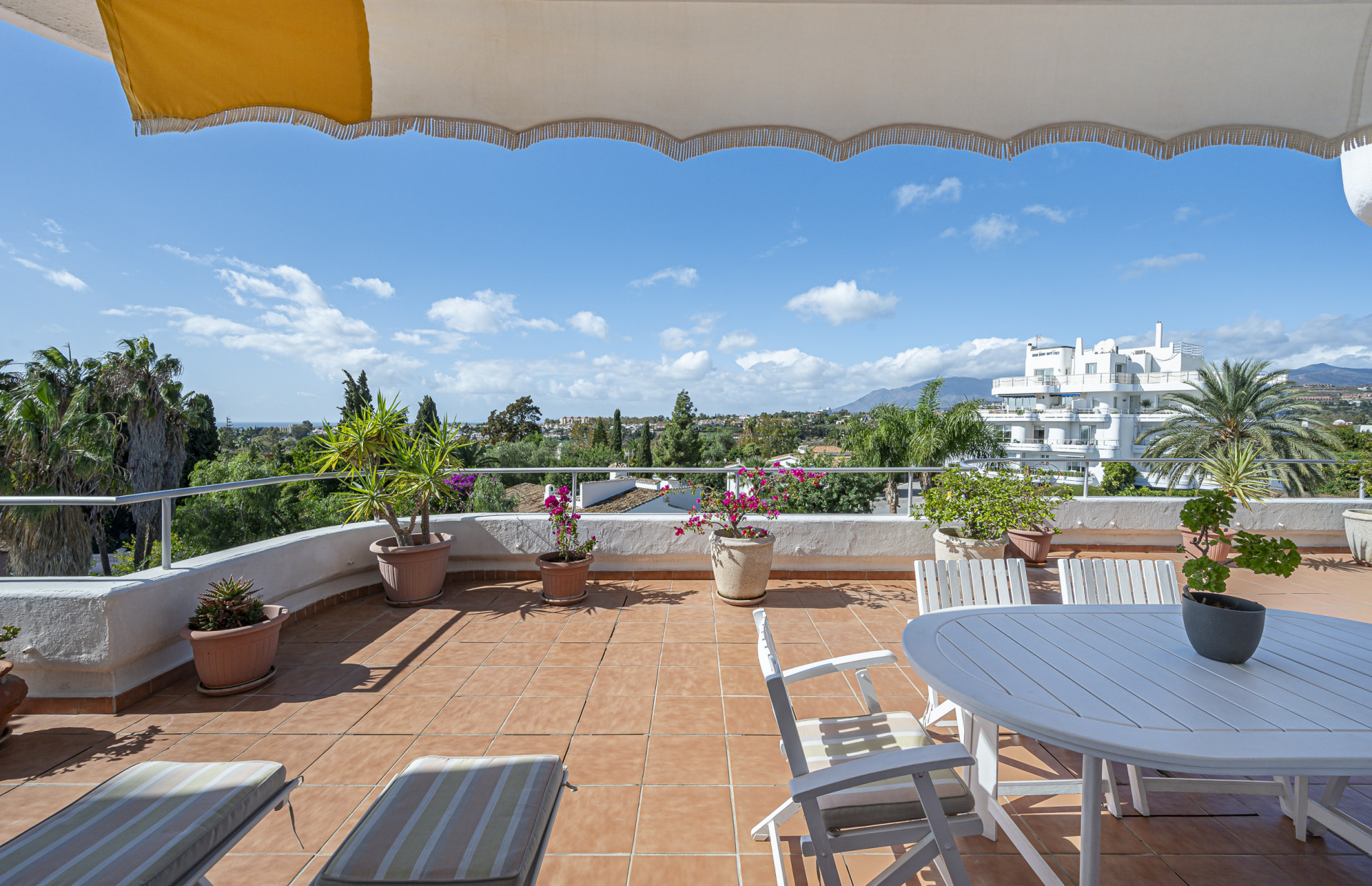 Property Image 619246-guadalmina-apartment-3-2