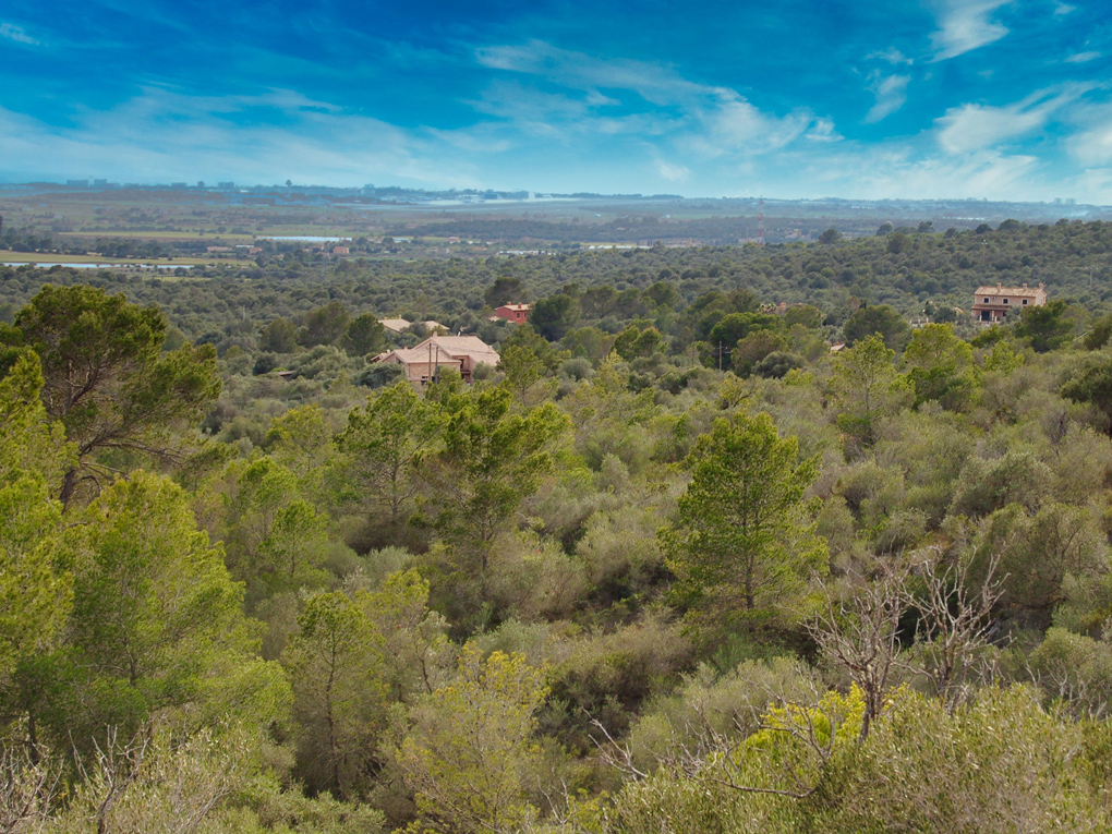 Działka na sprzedaż w Castelldefels and Baix Llobregat 2