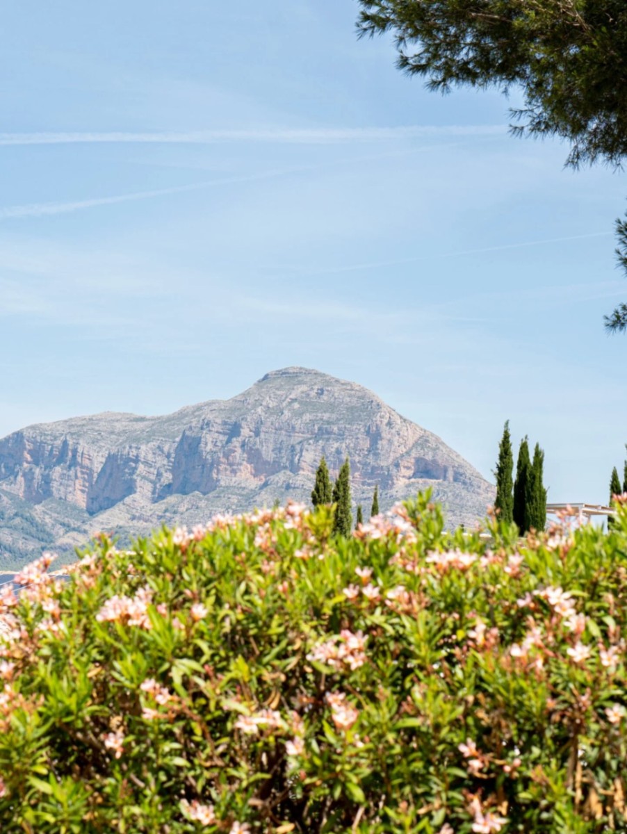 Villa à vendre à Jávea and surroundings 11