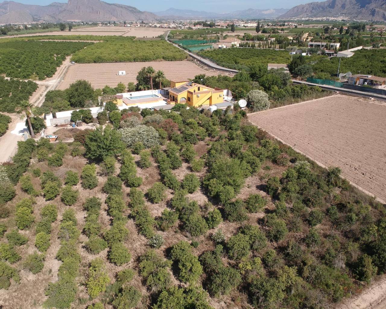 Maison de campagne à vendre à Alicante 34