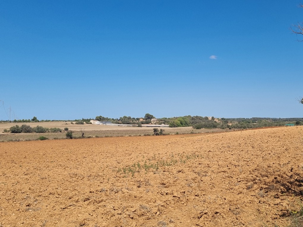 Plot for sale in Madrid City 1