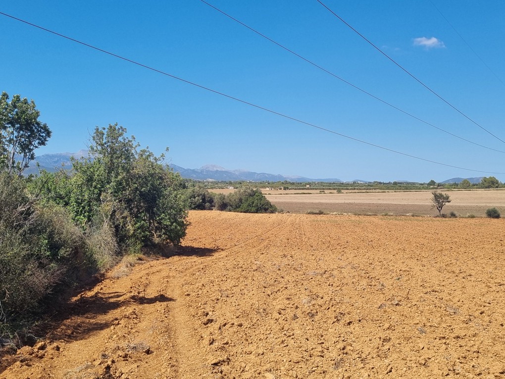 Plot for sale in Madrid City 3