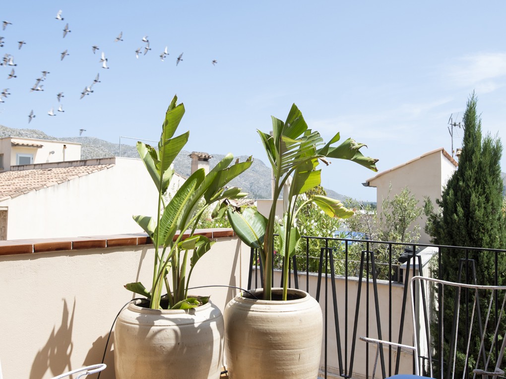 Townhouse te koop in Mallorca North 25