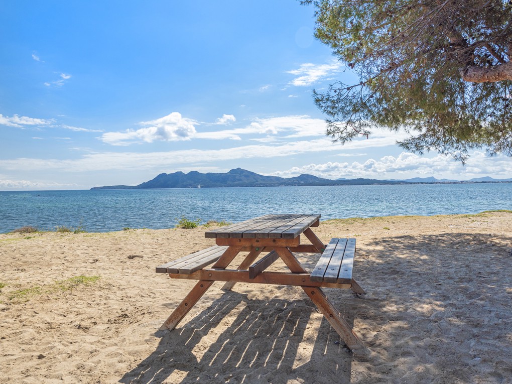 Dachwohnung zum Verkauf in Mallorca North 16