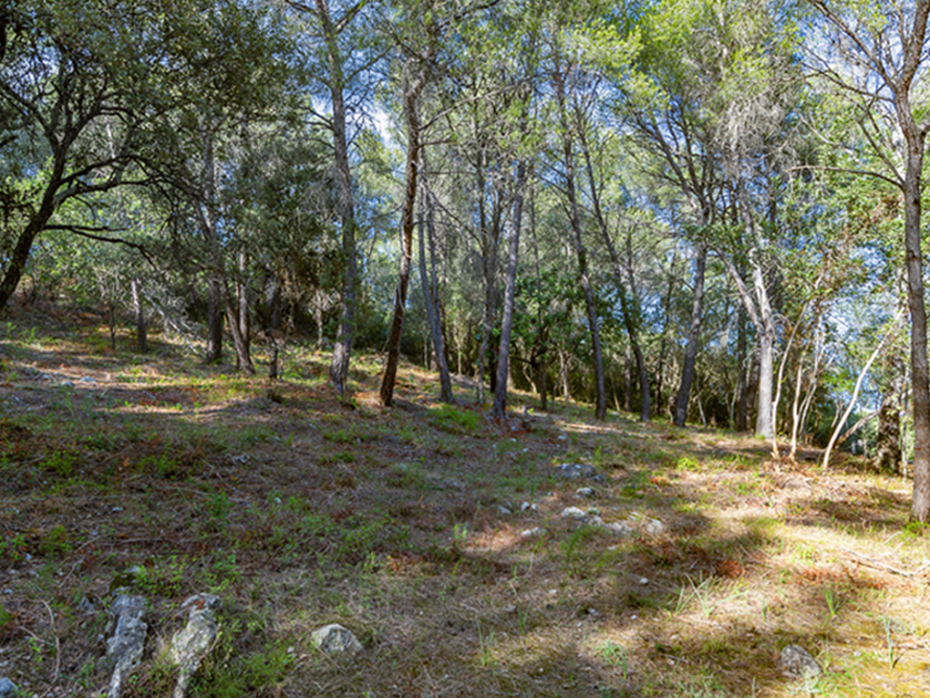 Plot à vendre à Mallorca East 1