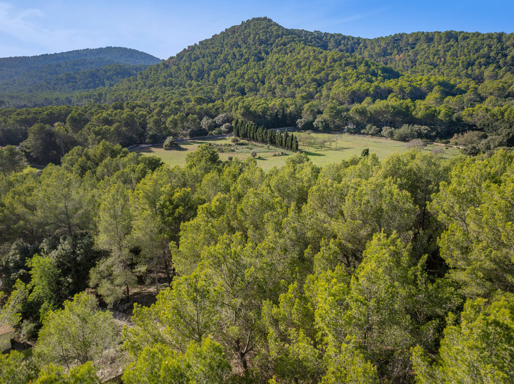 Plot à vendre à Mallorca East 6