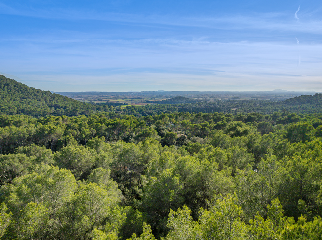 Plot à vendre à Mallorca East 7