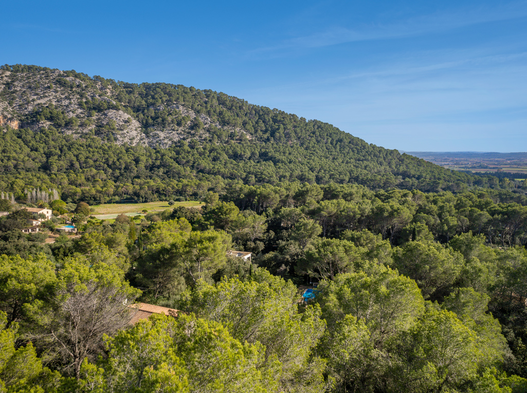 Plot à vendre à Mallorca East 8