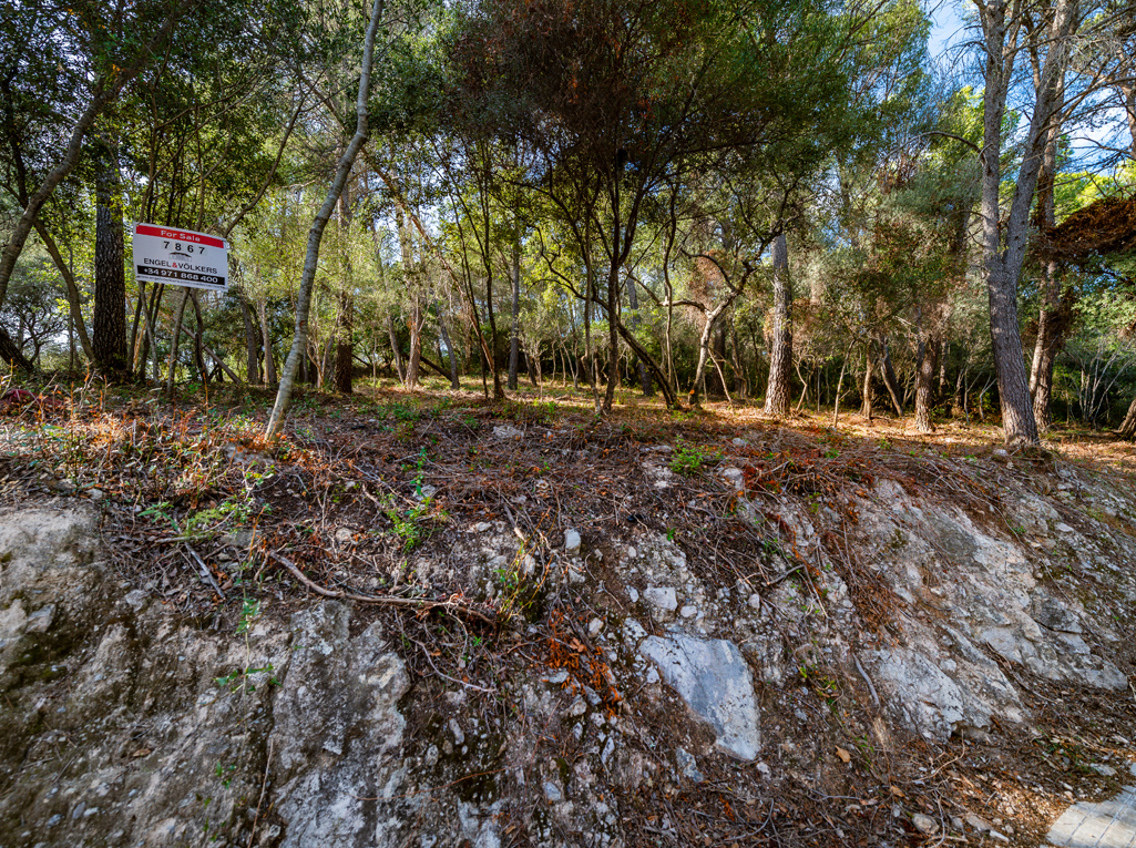 Plot à vendre à Mallorca East 10