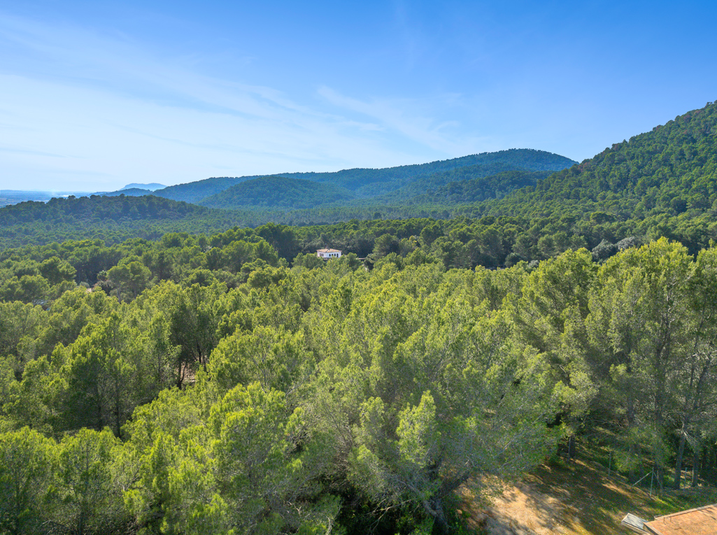 Plot à vendre à Mallorca East 1