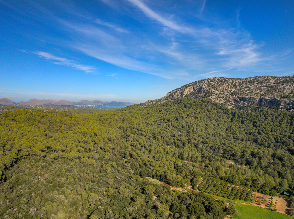 Działka na sprzedaż w Mallorca East 7