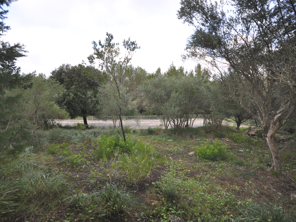 Plot en venta en Mallorca North 2