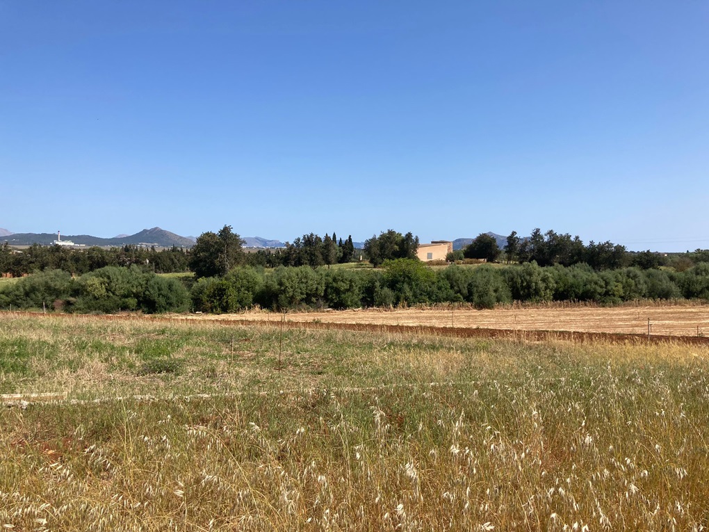 Plot en venta en Mallorca East 5