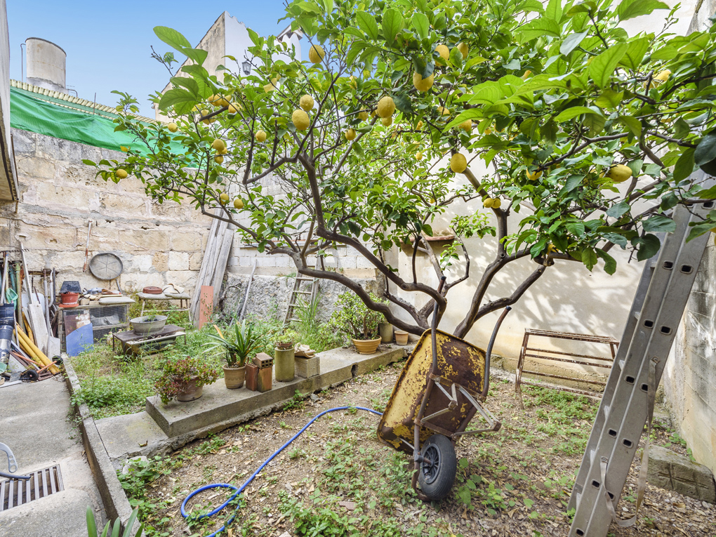 Property Image 620466-pollenca-townhouses-3-2