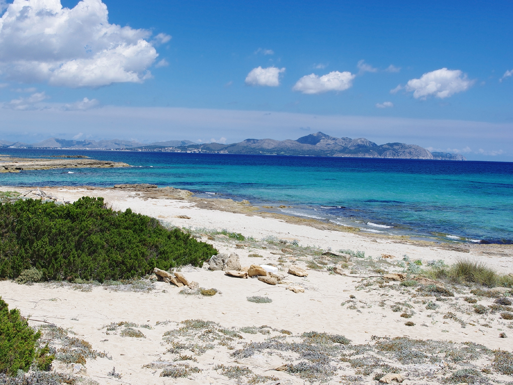 Reihenhaus zum Verkauf in Mallorca East 4