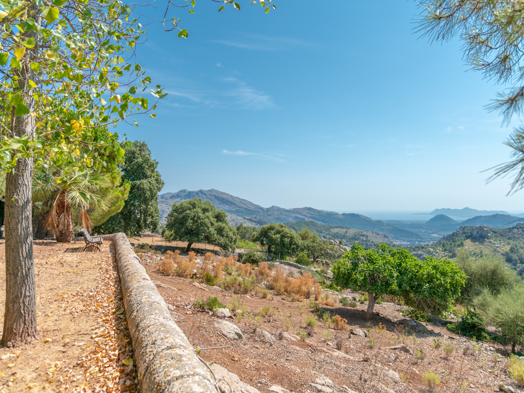 Countryhome for sale in Mallorca East 3