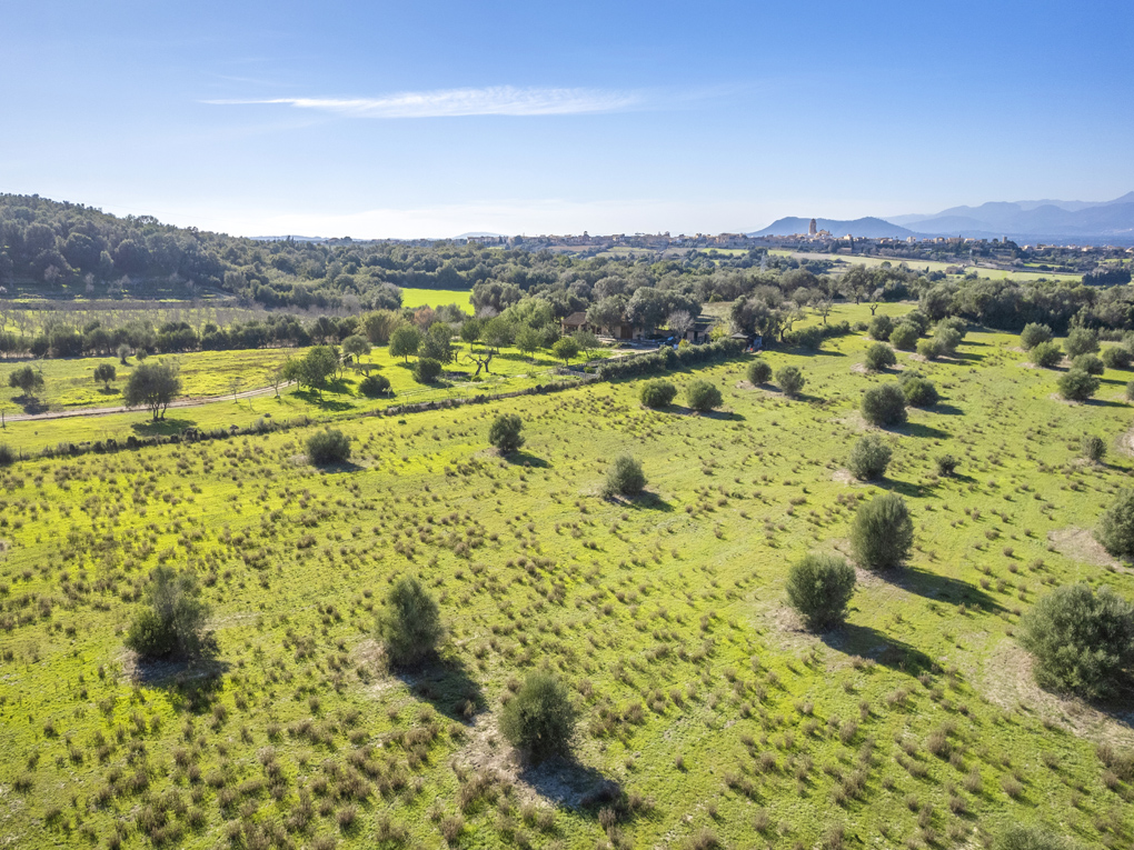 Plot à vendre à Mallorca East 4