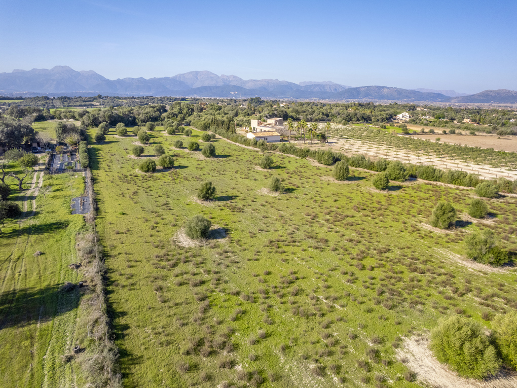 Plot à vendre à Mallorca East 3