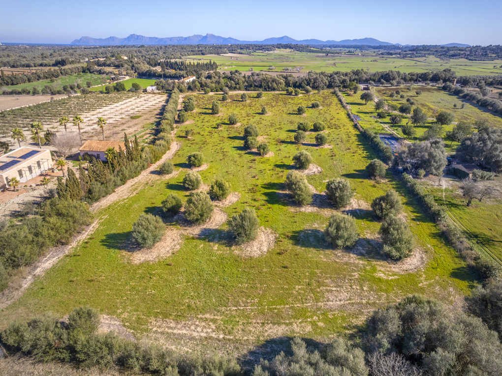 Plot à vendre à Mallorca East 2