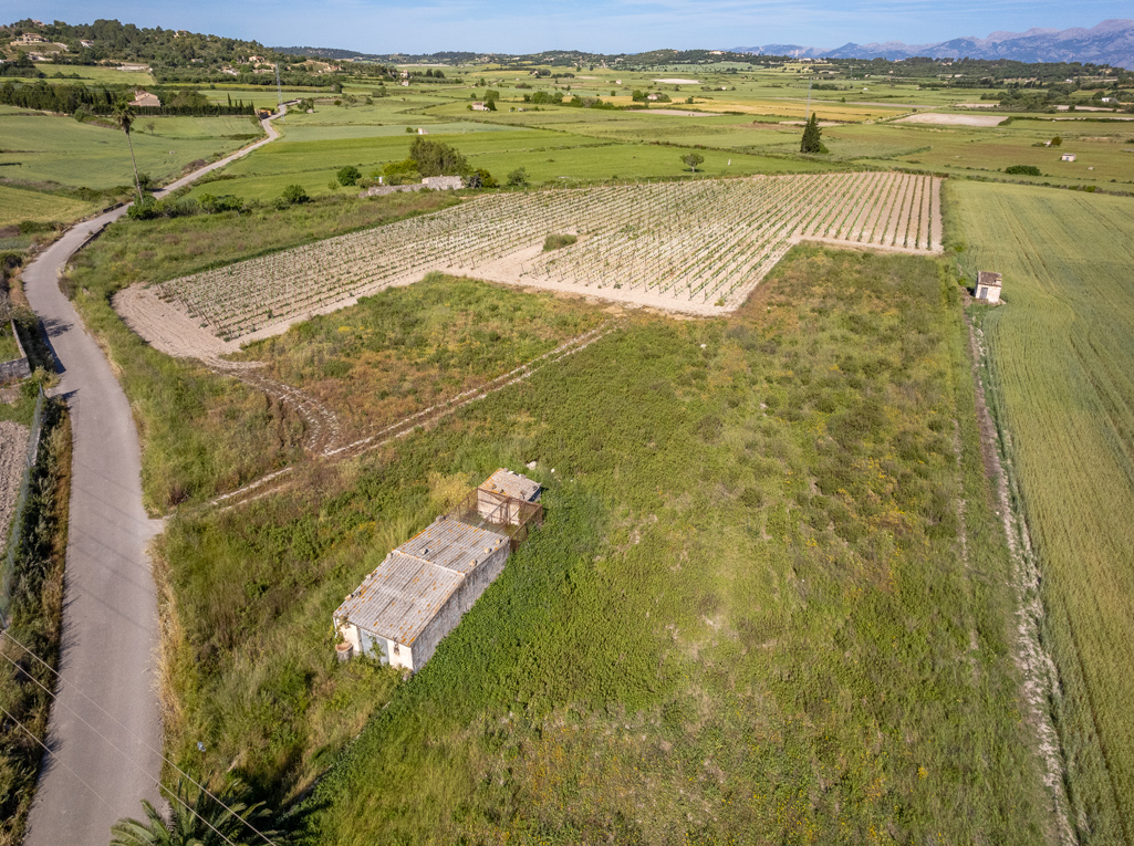 Plot à vendre à Mallorca East 1