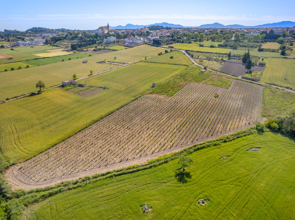 Działka na sprzedaż w Mallorca East 3