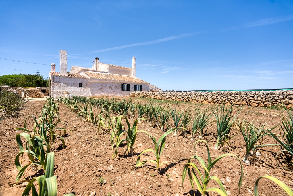 Hus på landet till salu i Menorca East 3