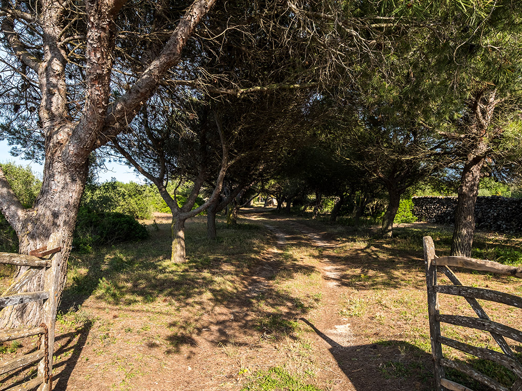 Countryhome for sale in Menorca West 27