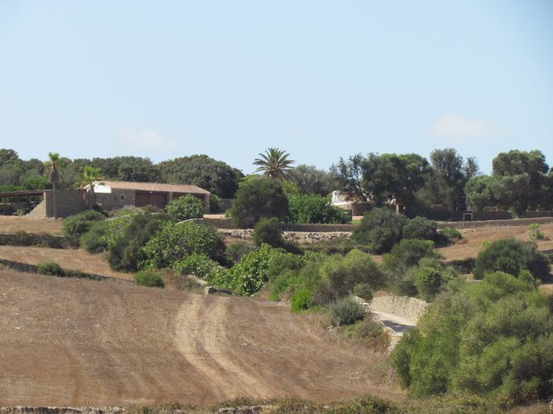 Countryhome for sale in Guardamar and surroundings 10