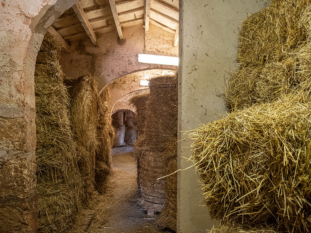 Hus på landet till salu i Menorca West 19