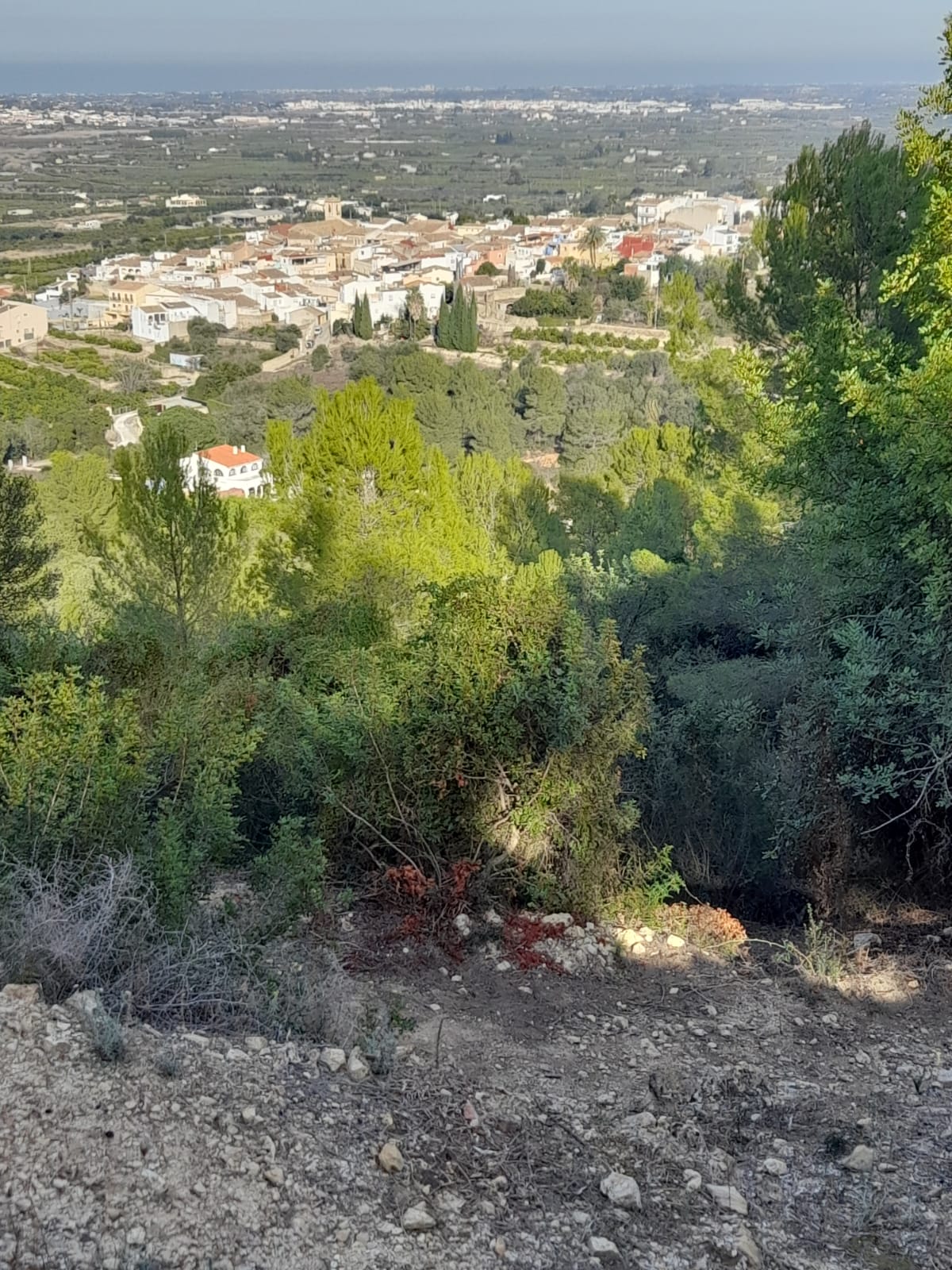 Plot for sale in Alicante 1