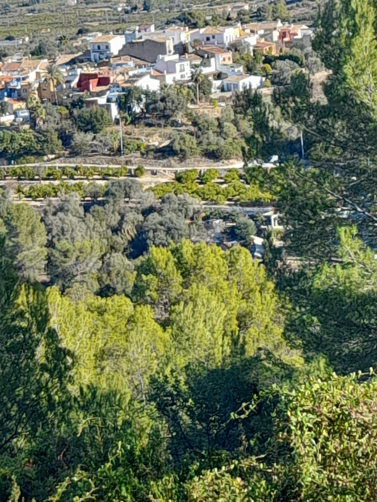 Plot for sale in Alicante 10