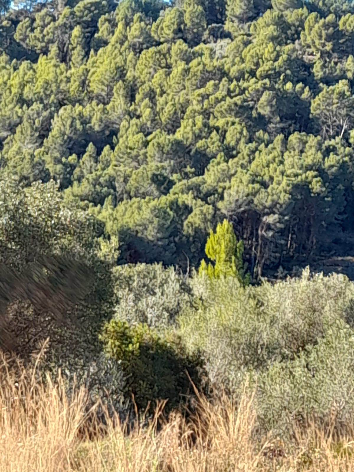 Plot zum Verkauf in Alicante 7