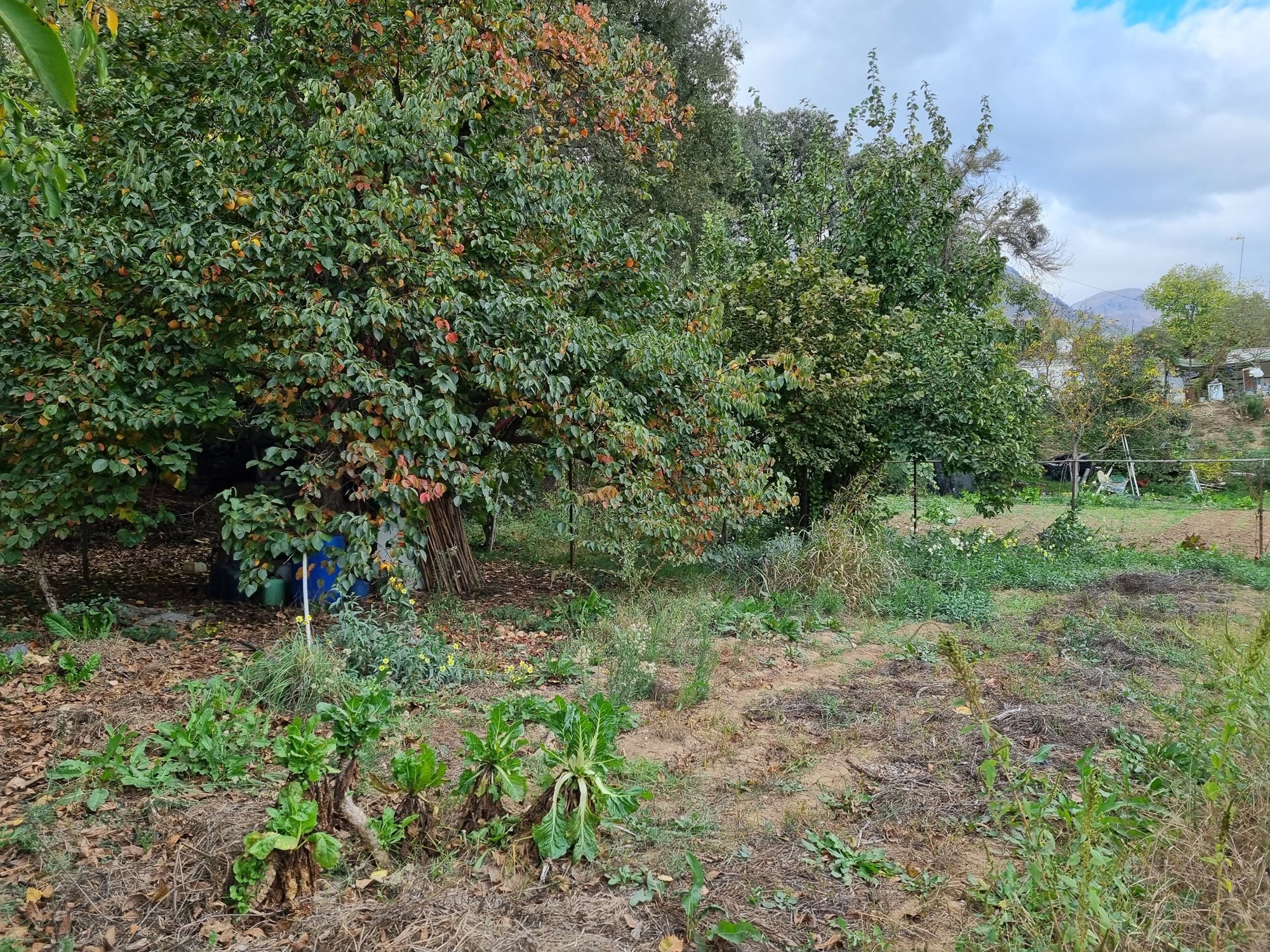 Countryhome for sale in Málaga 9