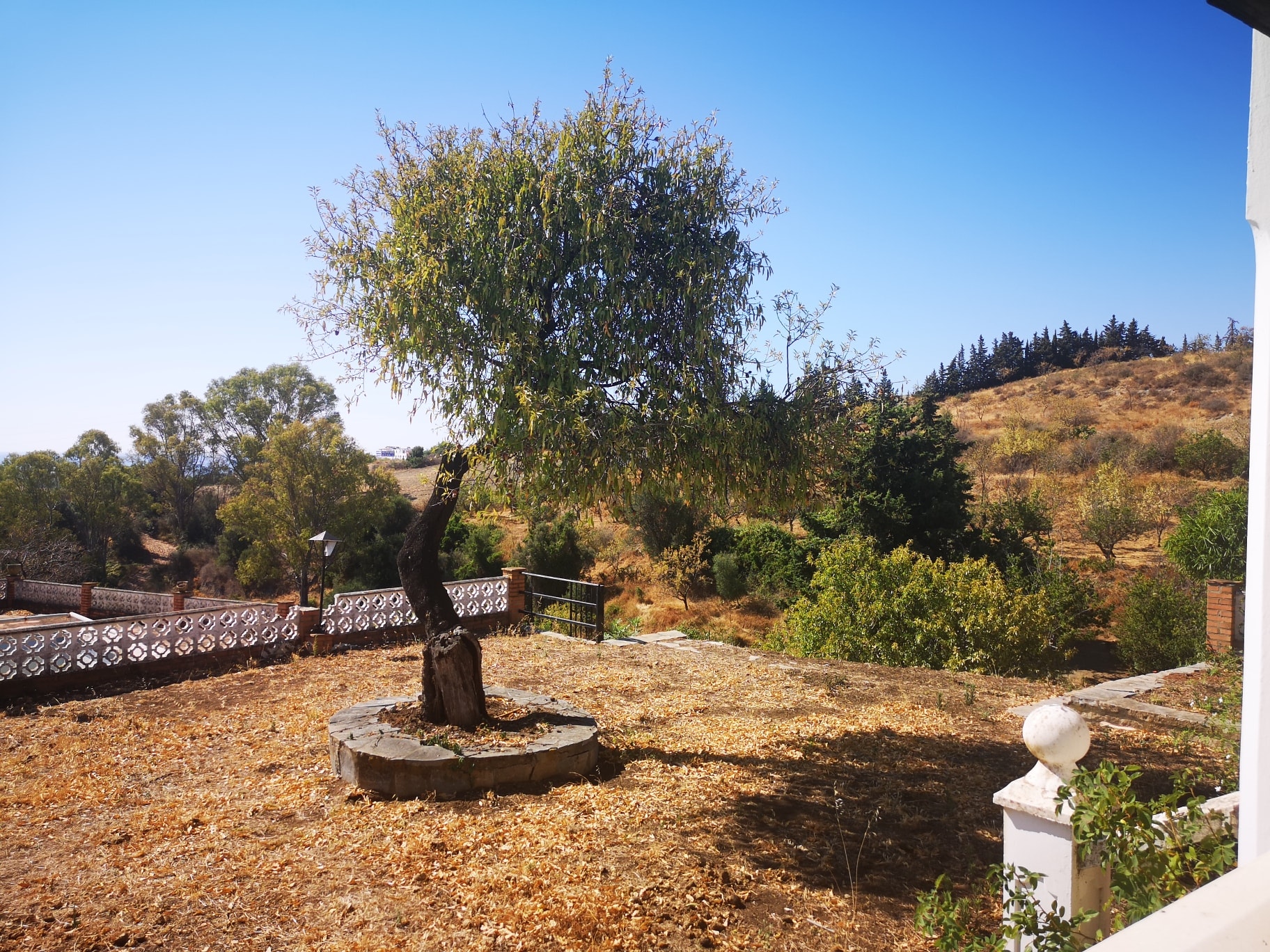 Maison de campagne à vendre à Estepona 19