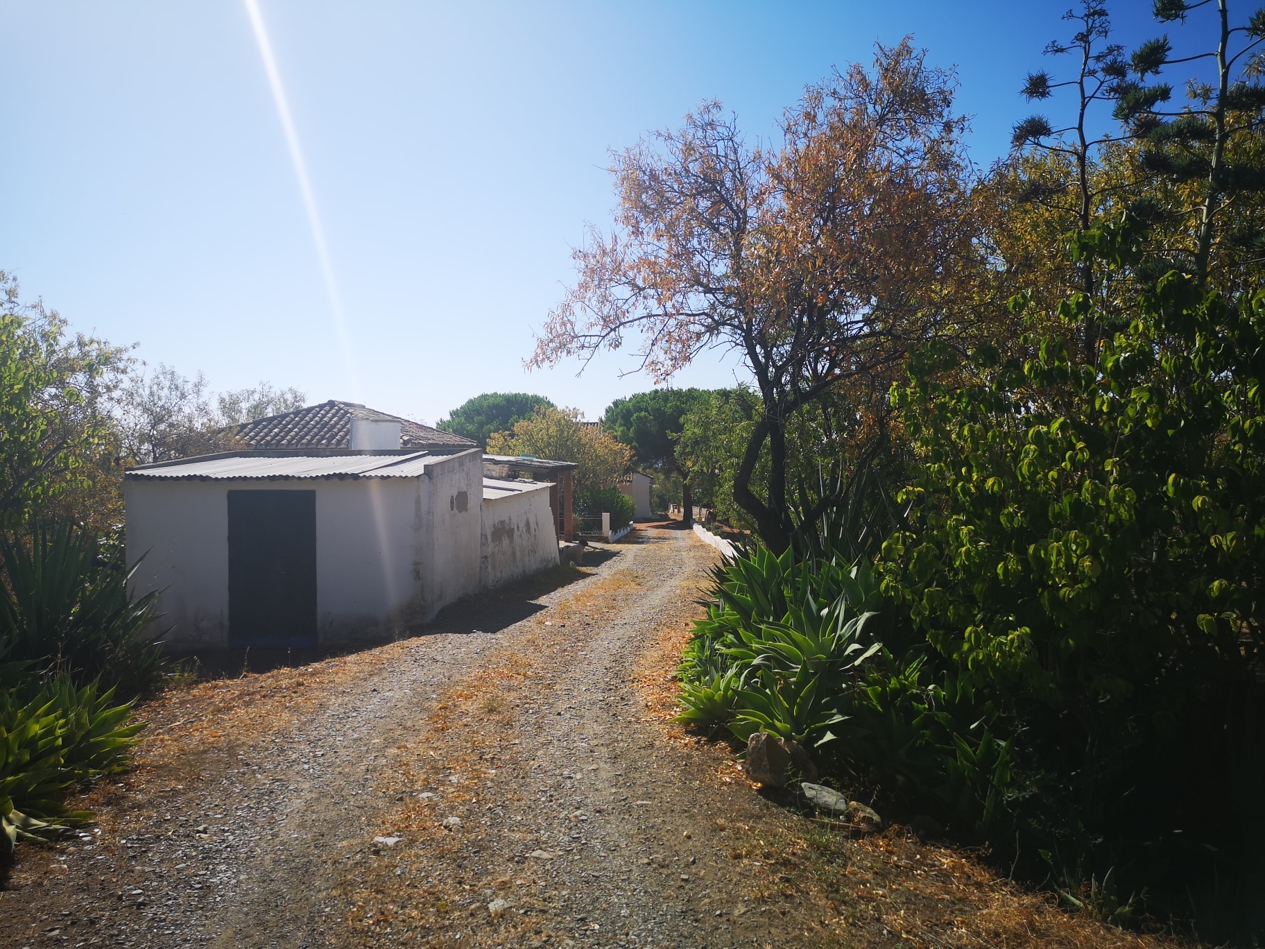 Maison de campagne à vendre à Estepona 28