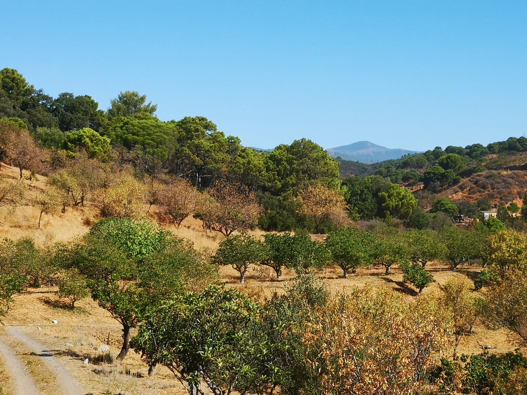 Загородный дом для продажи в Estepona 3