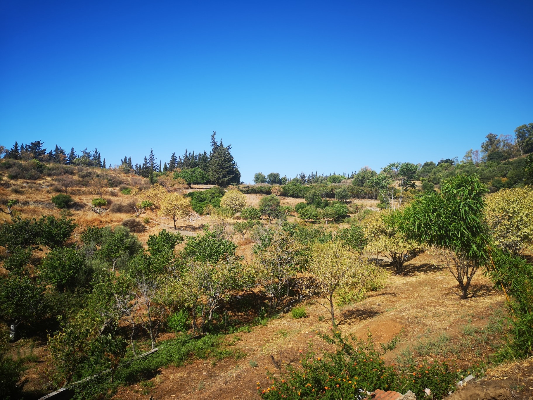 Maison de campagne à vendre à Estepona 4