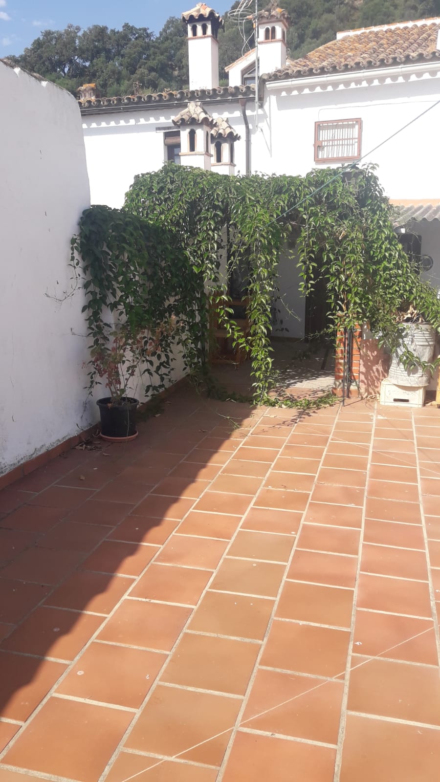 Adosada en venta en Campo de Gibraltar 6