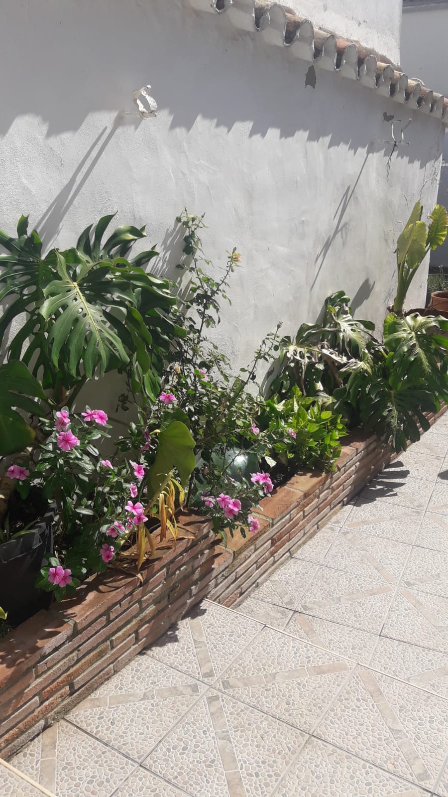 Adosada en venta en Campo de Gibraltar 9