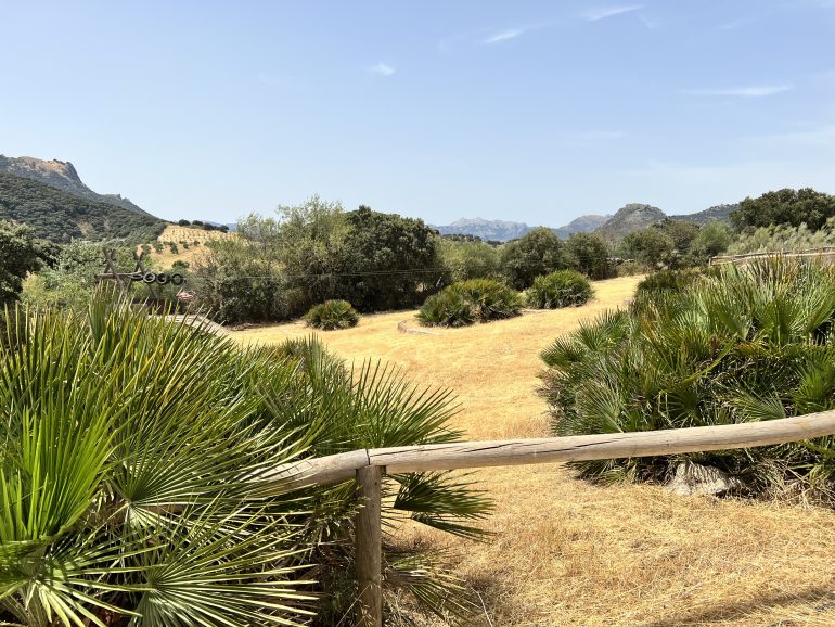 Landhaus zum Verkauf in Puerto de Santa Maria 7