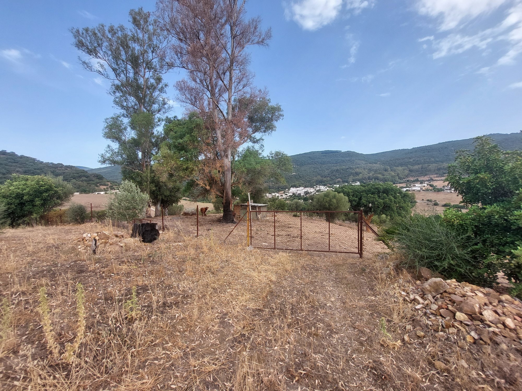 Casas de Campo en venta en Málaga 17