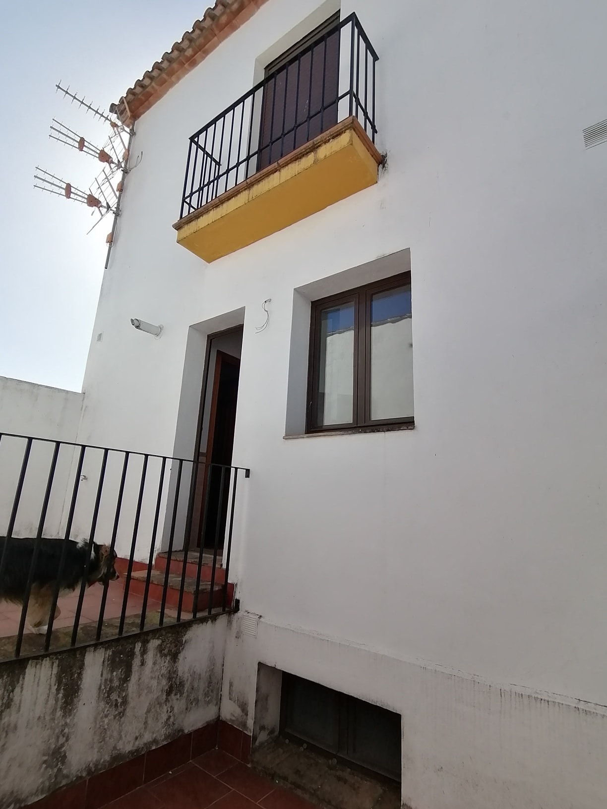 Villa à vendre à Málaga 12