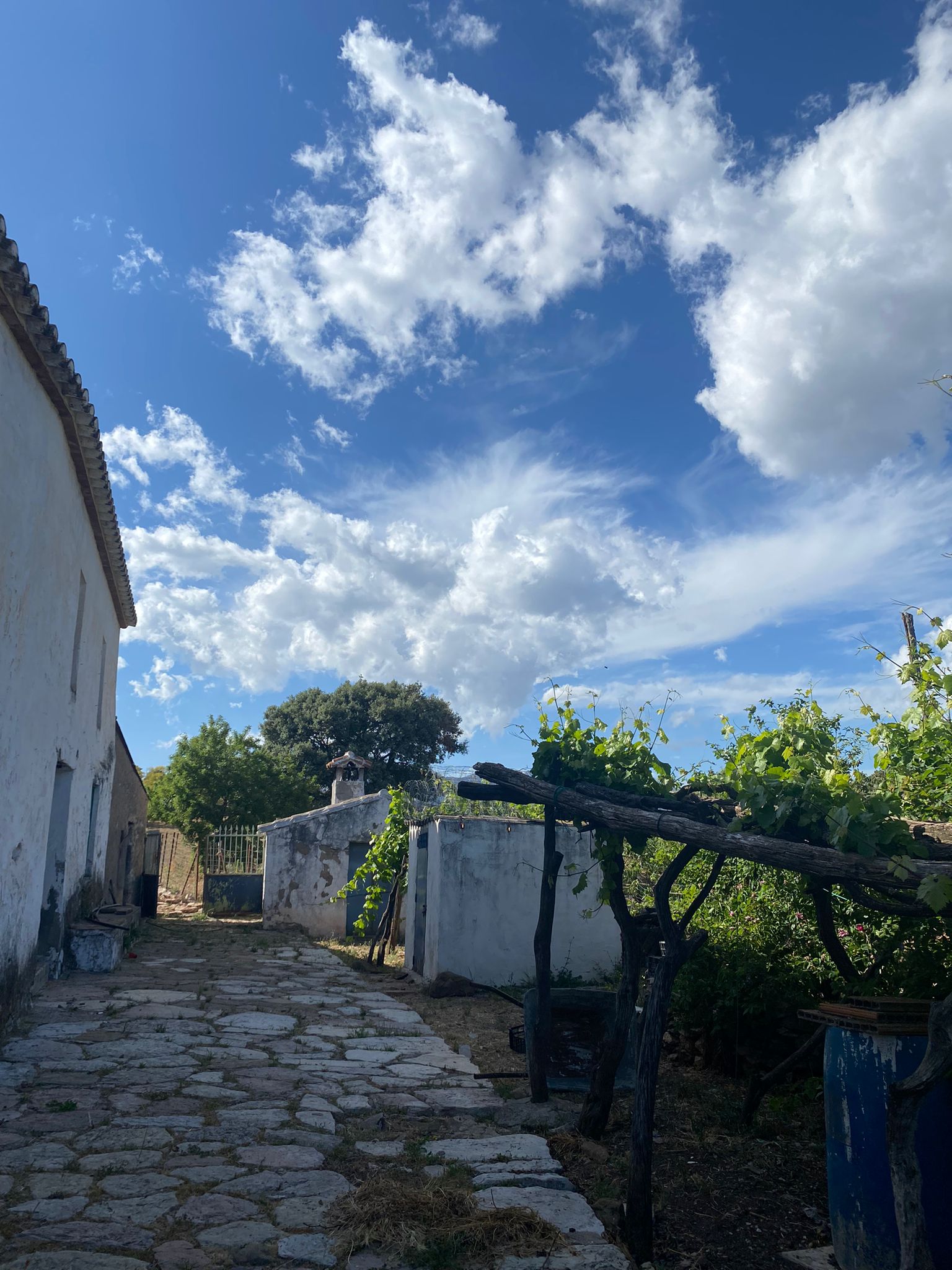 Haus zum Verkauf in Málaga 10