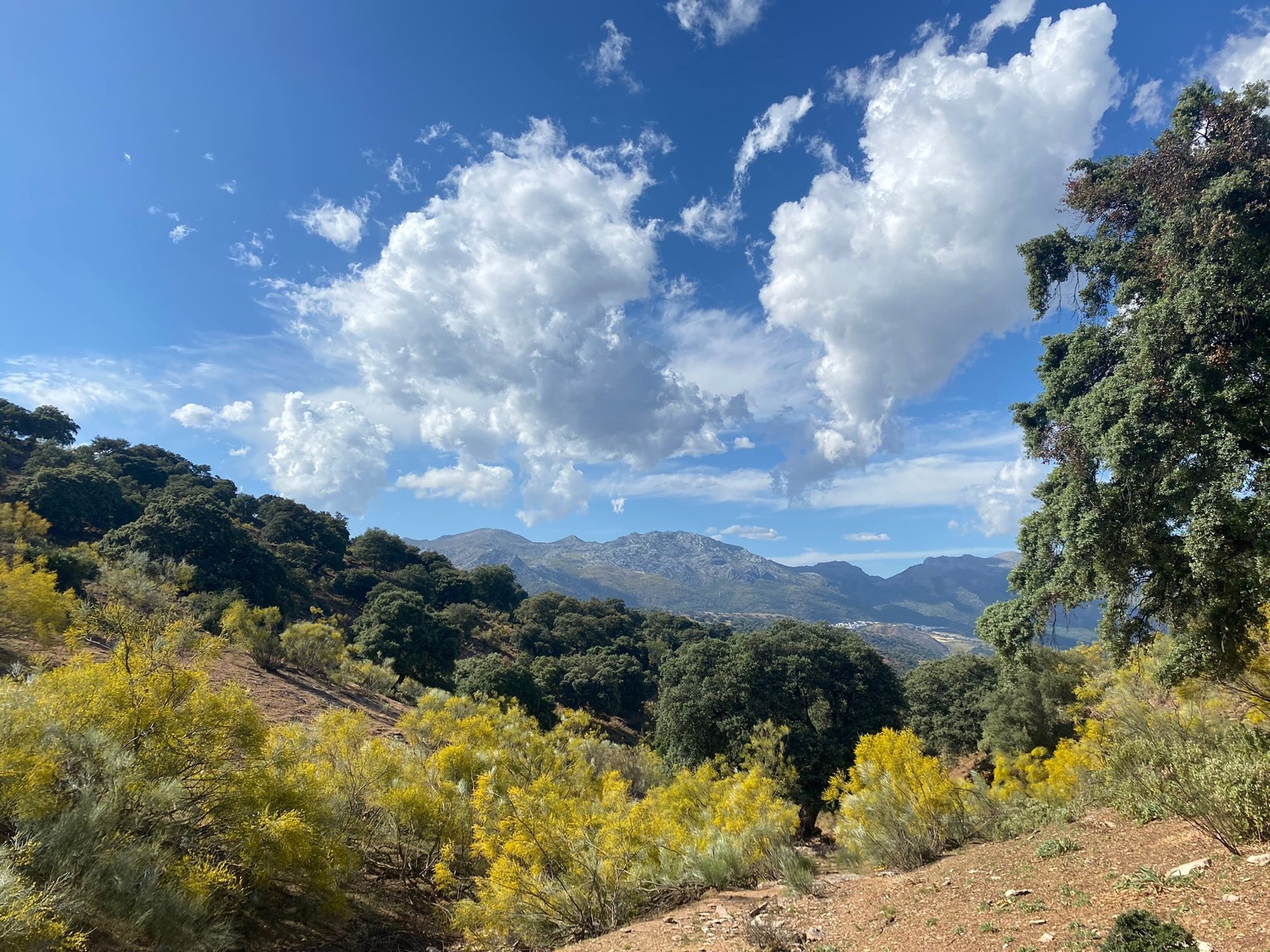 Villa à vendre à Málaga 3