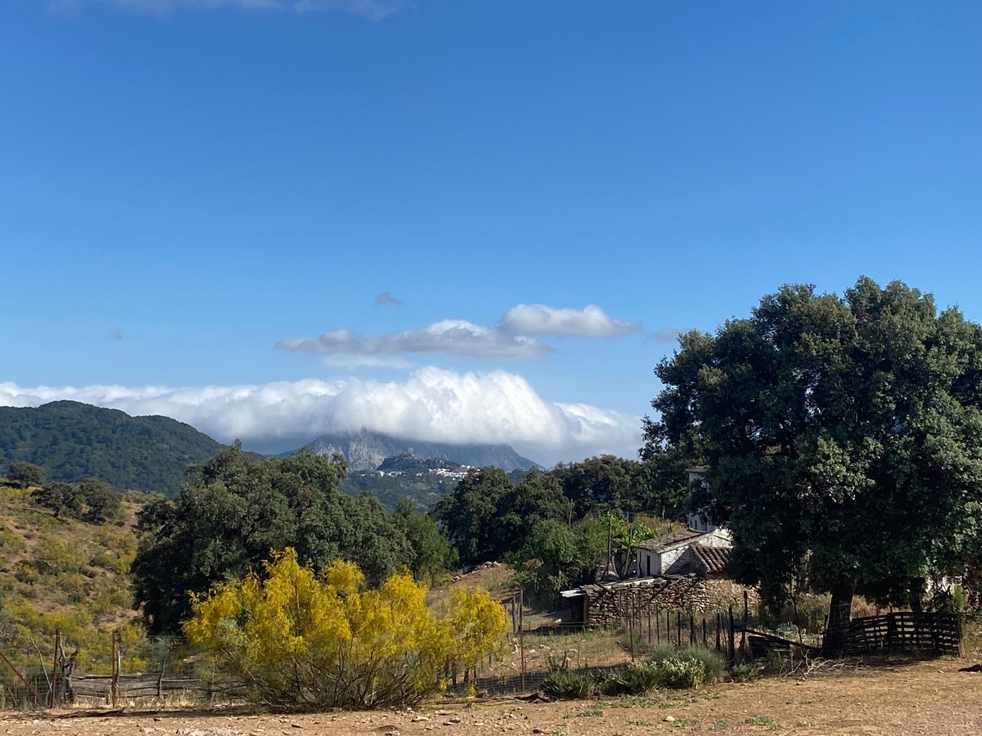 Villa à vendre à Málaga 6