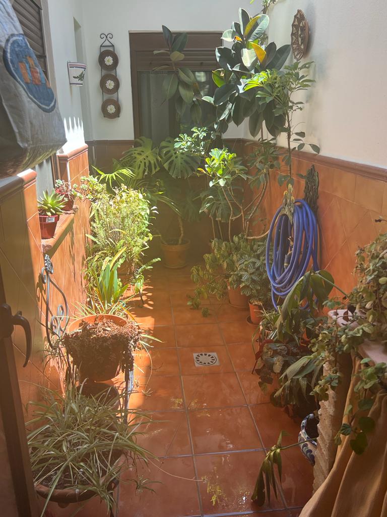 Apartment for sale in Málaga 15